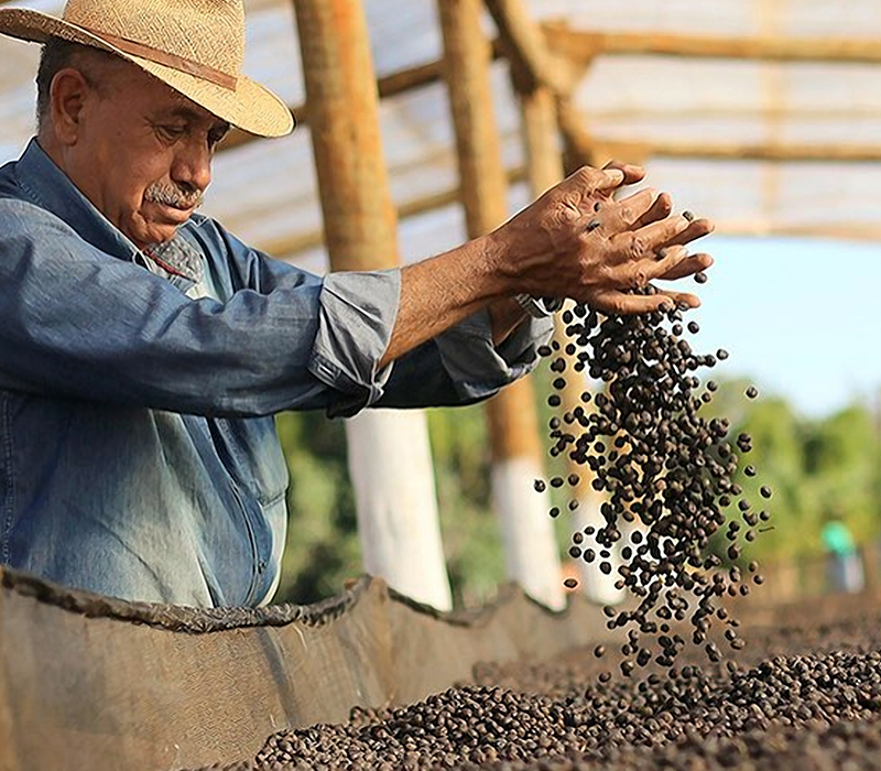 MICRO_PM_CAPIM_BRANCO_800x700