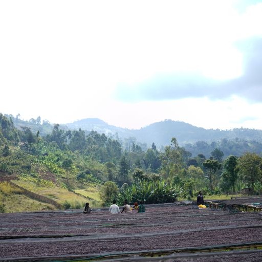 ethiopia 1